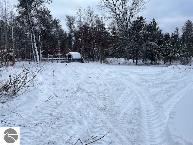 view of yard covered in snow