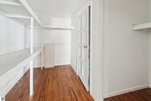 walk in closet with dark hardwood / wood-style flooring