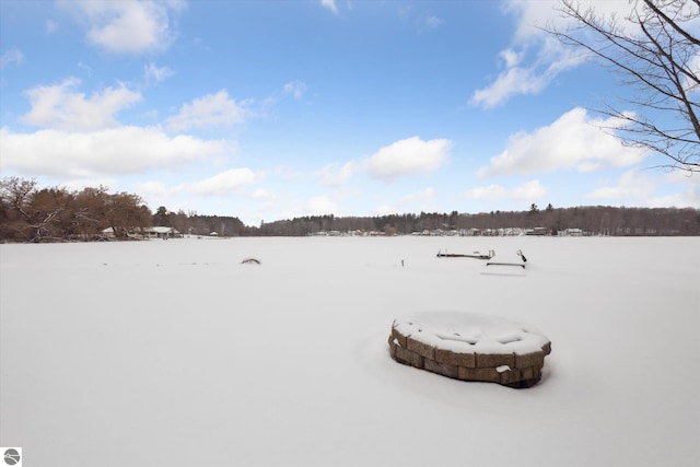 view of yard covered in snow