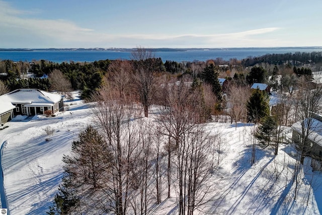 5891 S Calle Ct, Suttons Bay MI, 49682 land for sale