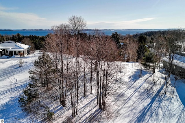 Listing photo 2 for 5891 S Calle Ct, Suttons Bay MI 49682