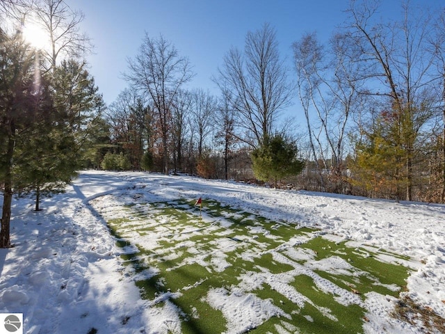 view of yard covered in snow