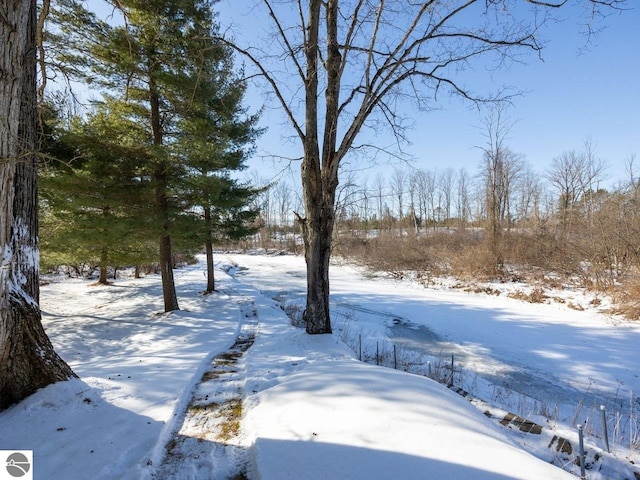 view of snowy yard