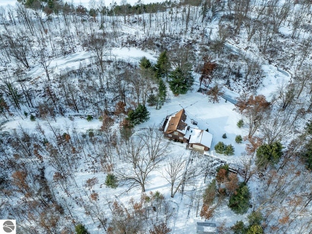 view of snowy aerial view