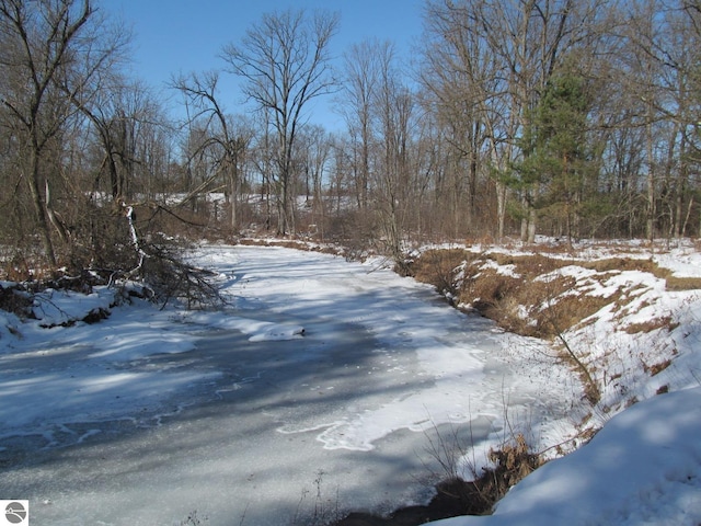 view of yard covered in snow