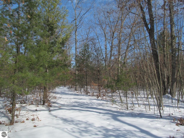 view of snowy yard