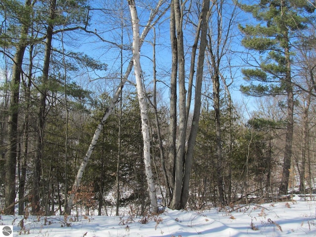 view of snowy landscape