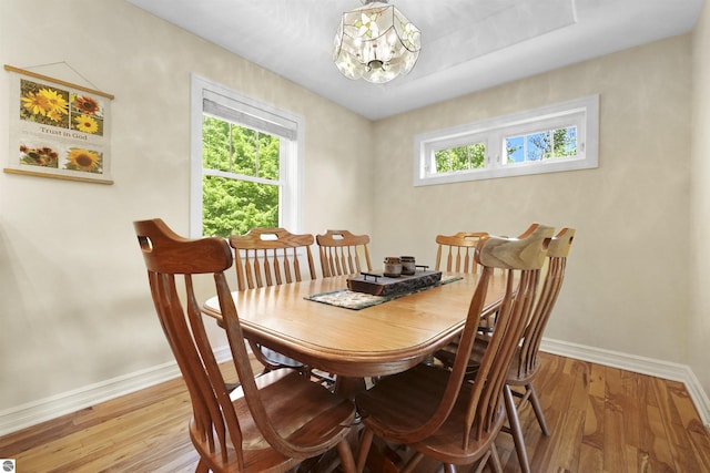 dining area featuring a notable chandelier and light hardwood / wood-style floors