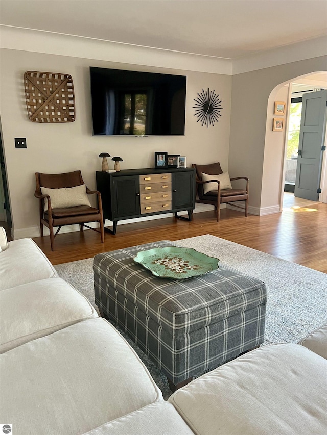 living room with hardwood / wood-style floors