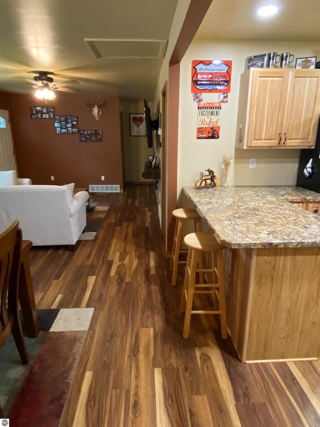 interior space with dark hardwood / wood-style floors and ceiling fan