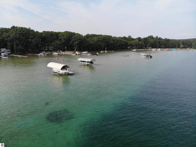 water view featuring a boat dock