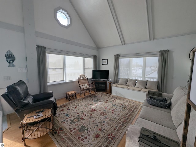 living room featuring hardwood / wood-style floors and high vaulted ceiling