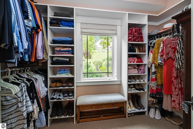 spacious closet featuring carpet floors