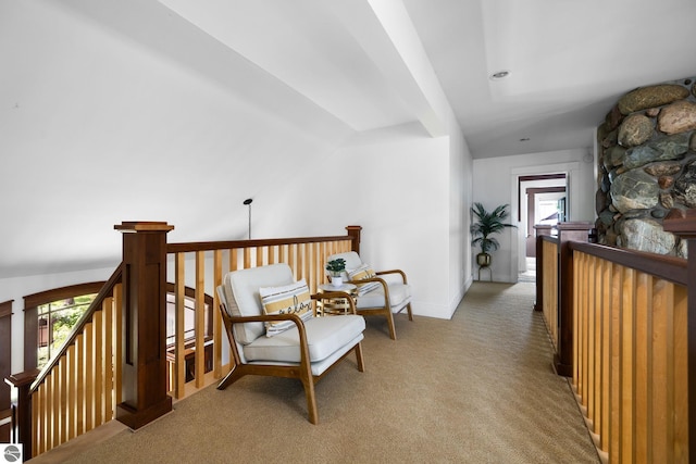 hallway featuring plenty of natural light and carpet