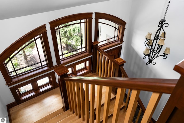 stairway with wood-type flooring