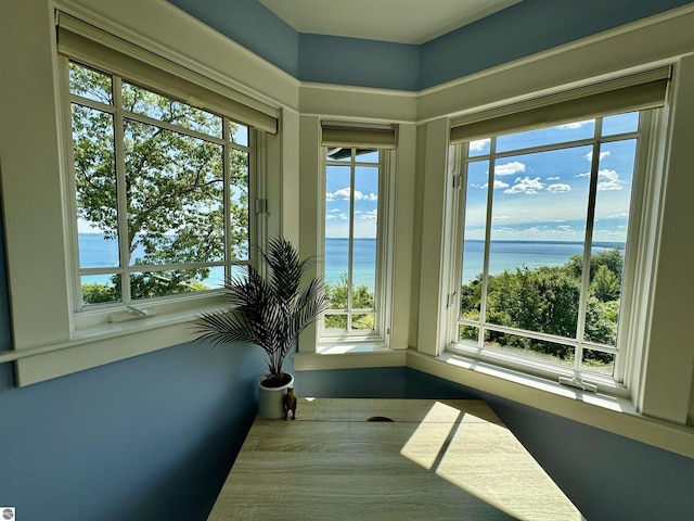 sunroom featuring a water view and a wealth of natural light