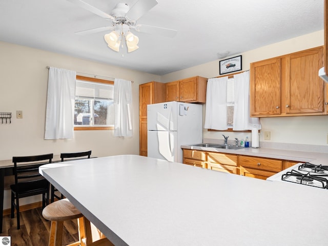 kitchen featuring sink, gas stove, white refrigerator, dark hardwood / wood-style floors, and ceiling fan