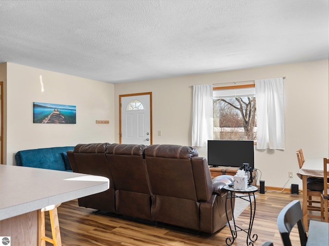 living room with hardwood / wood-style floors and a textured ceiling