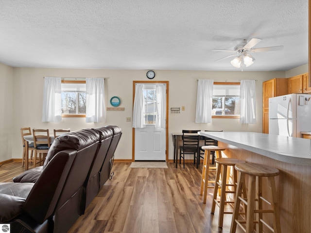 living room with a healthy amount of sunlight, a textured ceiling, and light wood-type flooring