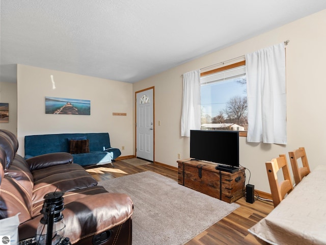 living room with a textured ceiling and light hardwood / wood-style flooring