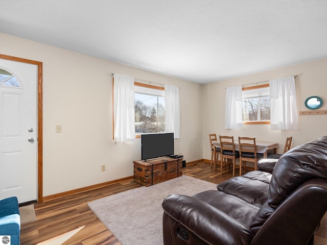 living room featuring hardwood / wood-style floors and a wealth of natural light