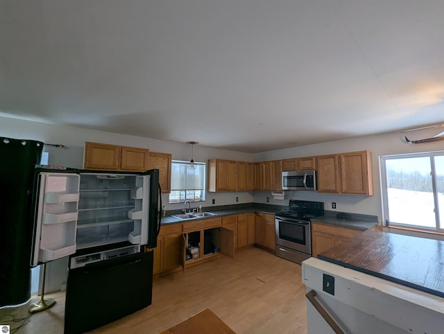 kitchen with pendant lighting, sink, light hardwood / wood-style floors, and appliances with stainless steel finishes