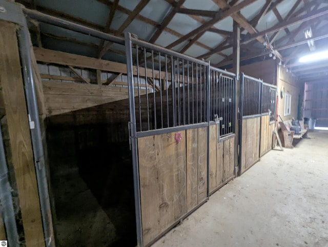 view of horse barn