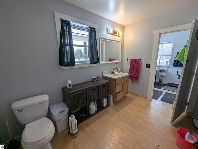 bathroom featuring vanity, toilet, and hardwood / wood-style floors