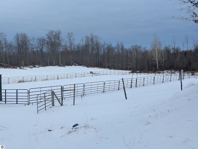 view of yard featuring a rural view