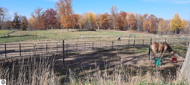 view of yard with a rural view