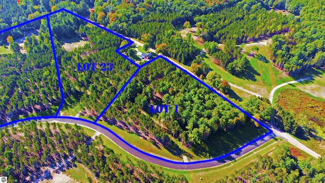 UNIT1 NW Dockery Rd NW, Williamsburg MI, 49690 land for sale