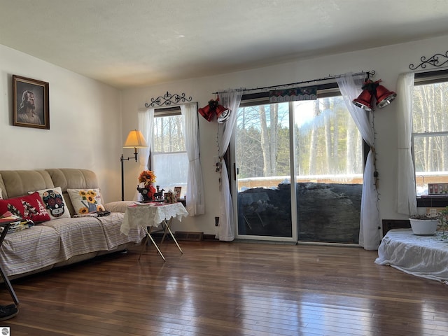 living room with dark wood-type flooring