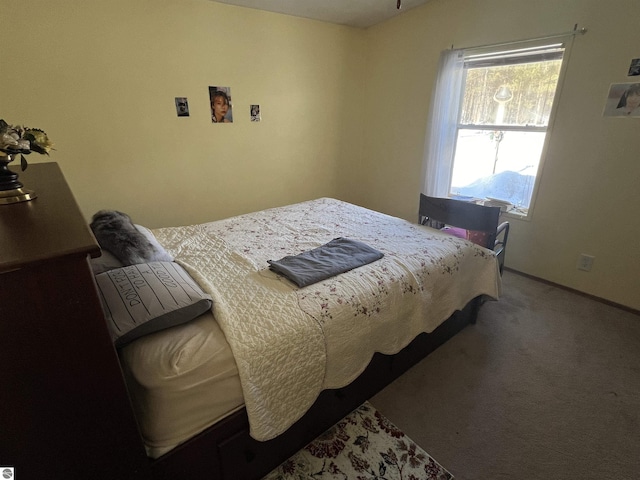 bedroom with carpet floors