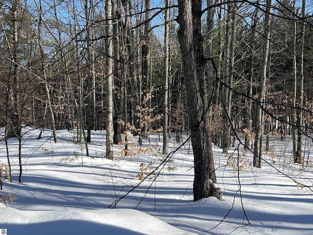 view of yard covered in snow