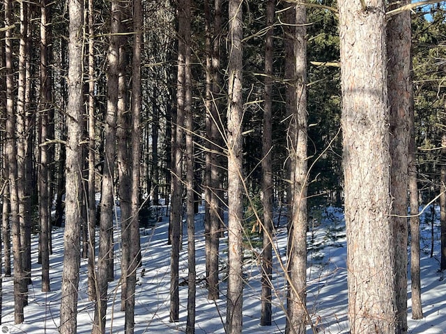 view of snowy landscape