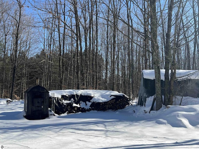 view of yard covered in snow