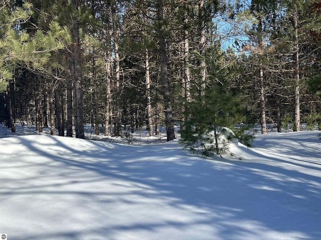 view of yard layered in snow