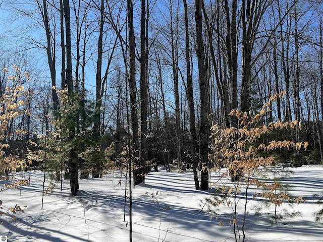 view of yard layered in snow