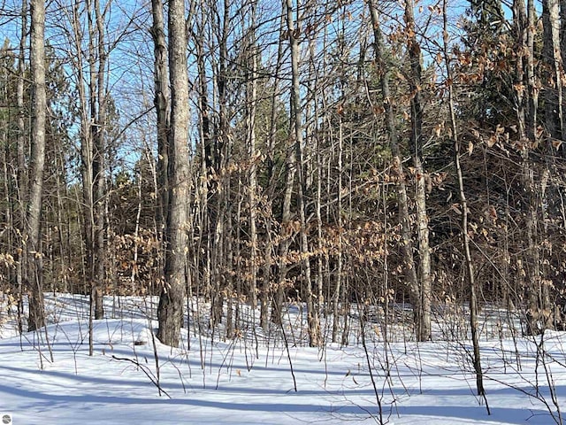 view of snow covered land