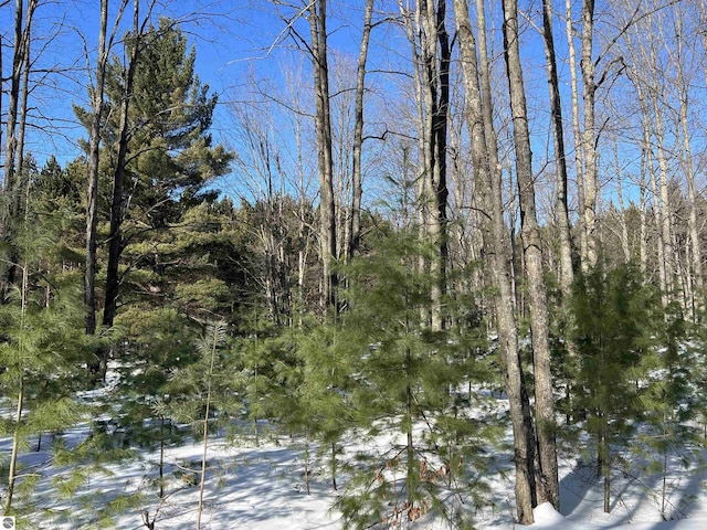 view of snowy landscape