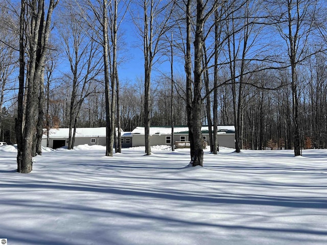 view of snowy yard