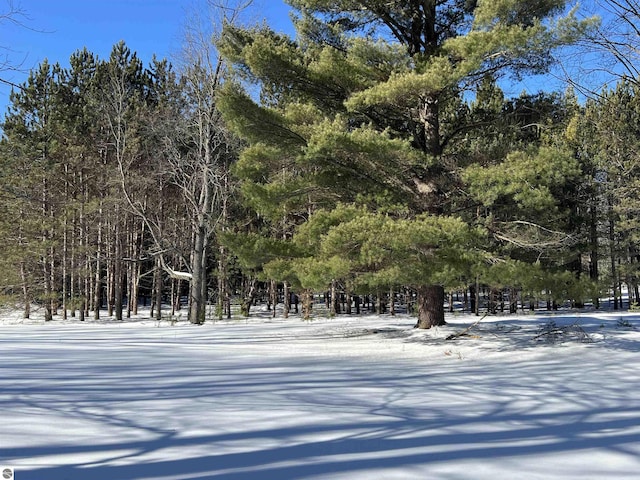 view of property's community