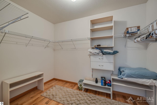 spacious closet featuring light hardwood / wood-style flooring