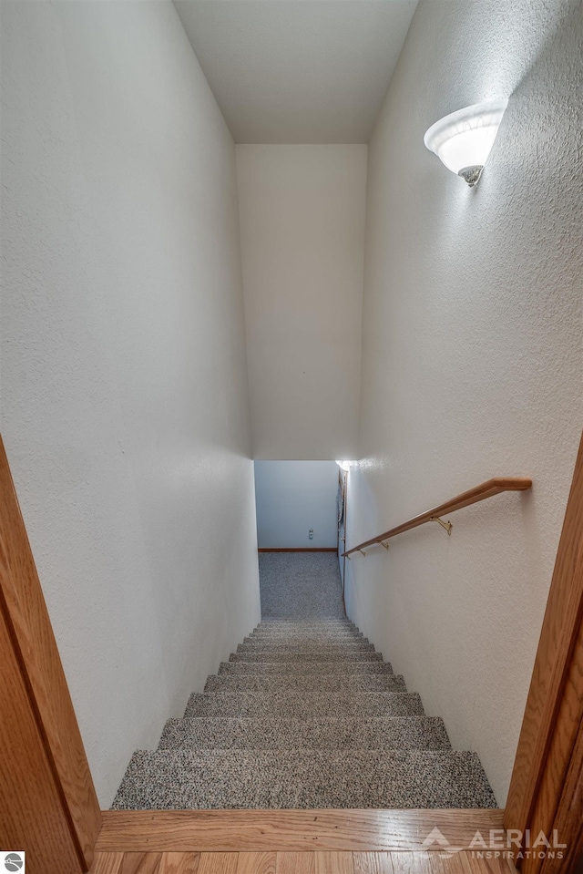 staircase with carpet floors