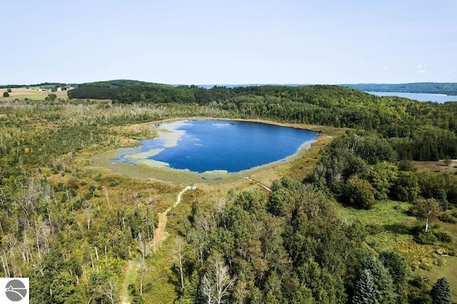 bird's eye view with a water view