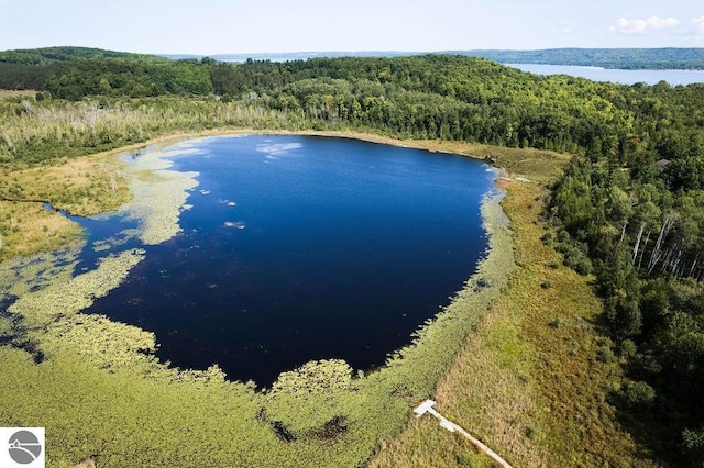 bird's eye view with a water view