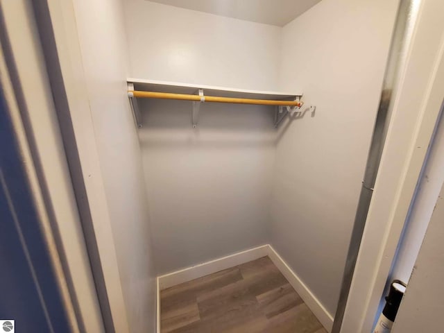 walk in closet with hardwood / wood-style flooring