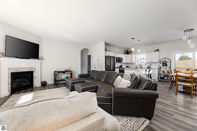 living room with hardwood / wood-style flooring, plenty of natural light, and a fireplace