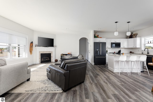 living room featuring a fireplace and wood-type flooring