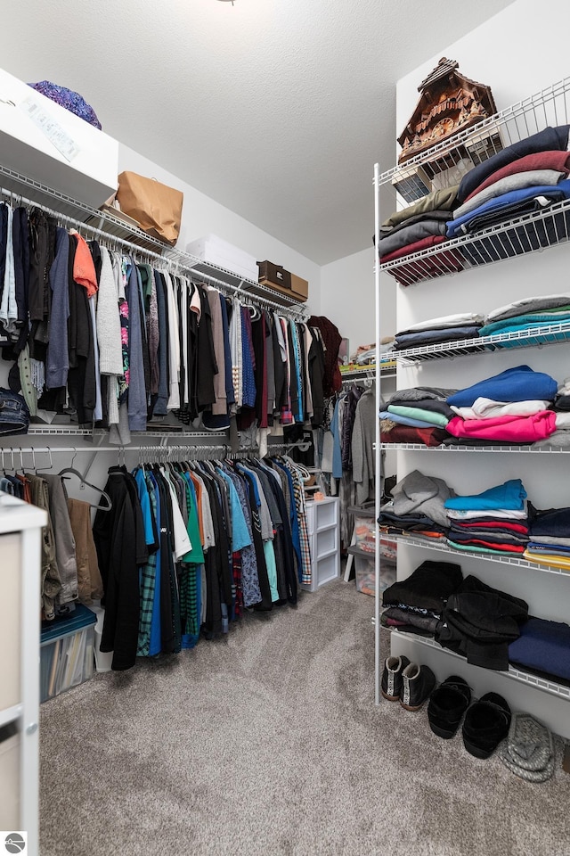 spacious closet with carpet